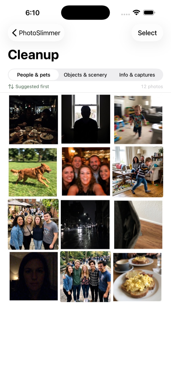 PhotoSlimmer categorized cleanup grid