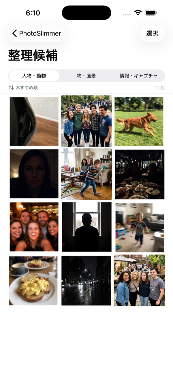 PhotoSlimmer categorized cleanup grid